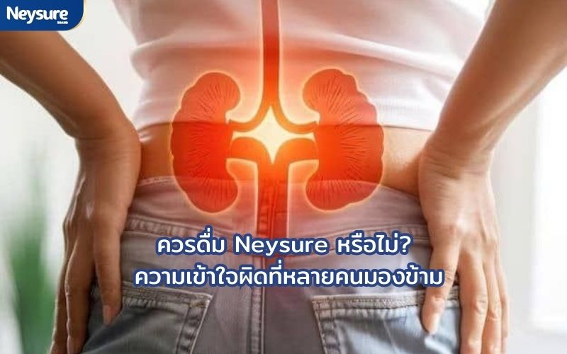 neysure-นมโรคไต 6